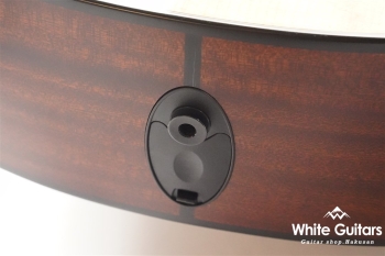 312ce 12Fret V-Class